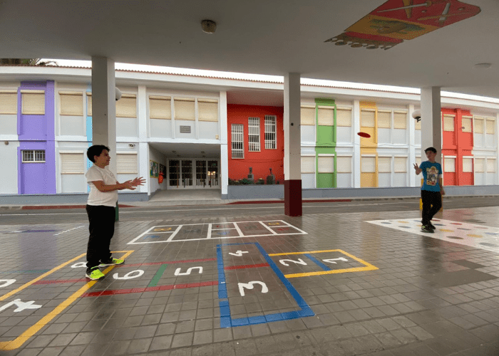 as atividades esportivas ofertadas nas escolas brasileiras