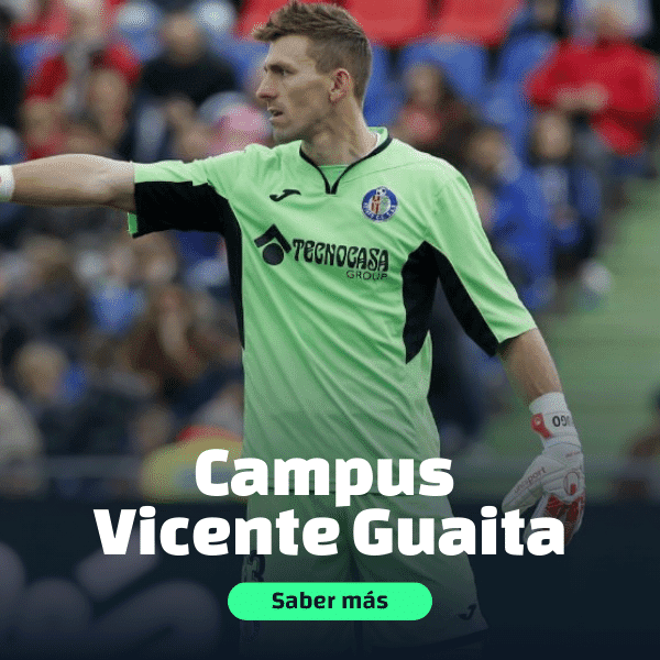 Campus Vicente Guaita