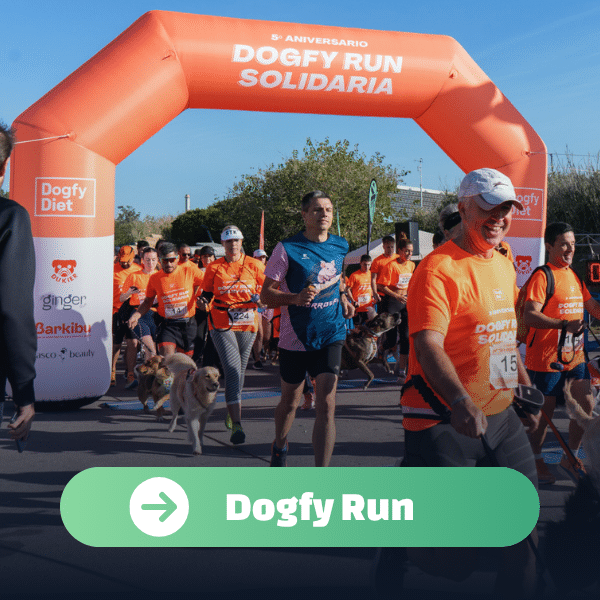 dogfy run caso exito